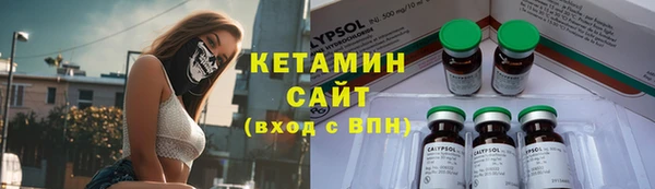 прущая мука Вяземский
