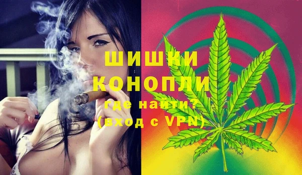 прущая мука Вяземский