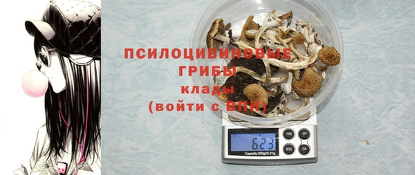 прущая мука Вяземский