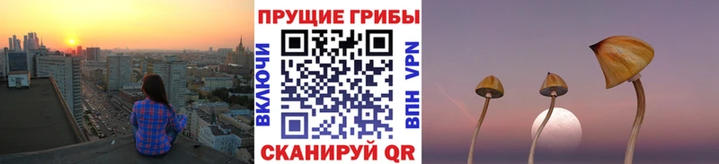 Галлюциногенные грибы Psilocybe  сколько стоит  Пушкино 